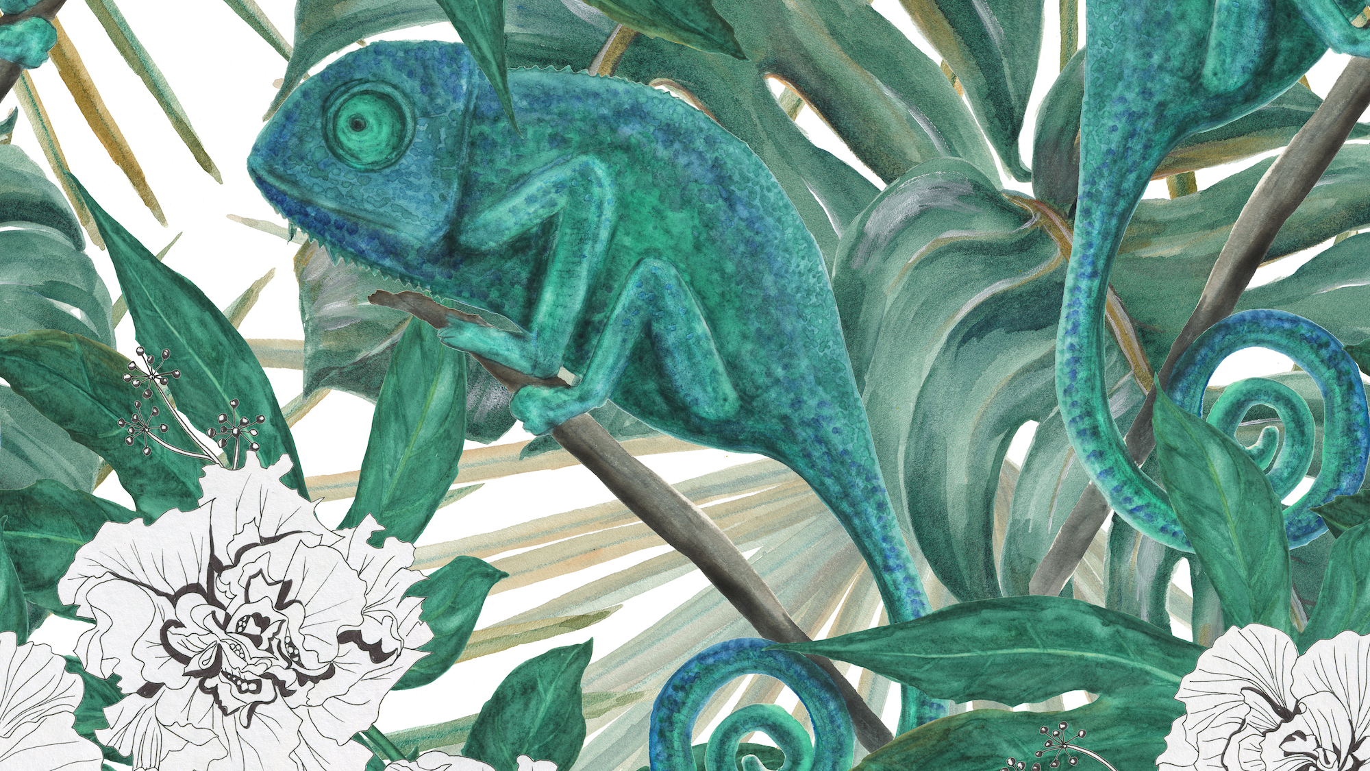 Becoming a Client Chameleon